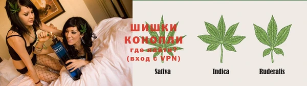 дмт Арсеньев