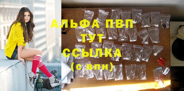 дмт Арсеньев