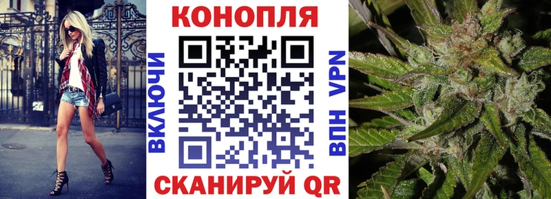 Бошки марихуана марихуана  Новоузенск 
